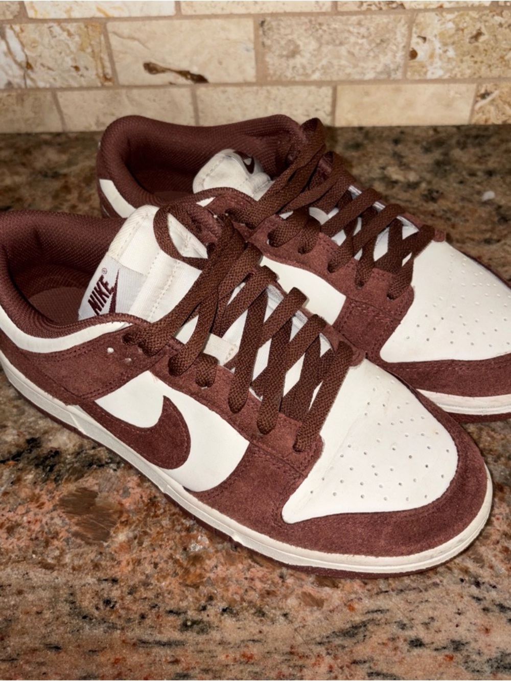 Nike Dunk Low Next Nature Red Sepia HJ7673-001 Women Size 9 US
